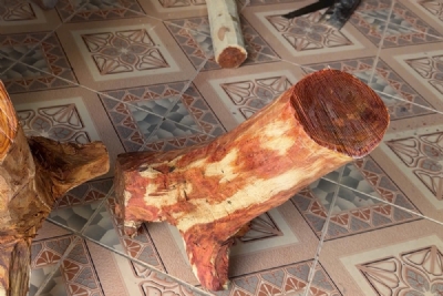 gốc sưa 7kg ms118