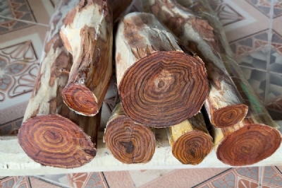 Gỗ sưa đường kính 5 đến 15cm giá từ 100k đến 180k 1kg ms115