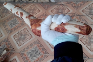 Hàng gậy mắt mấu DD008
