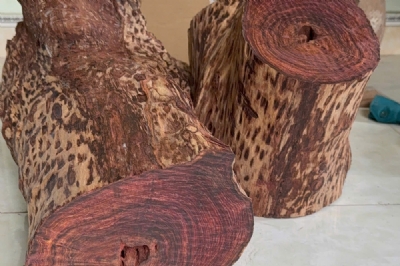 Gỗ sưa già trên 100 năm giá 7,5tr - 1kg ms087