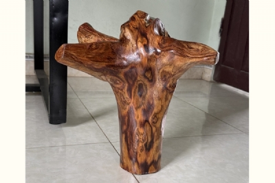 gốc sưa đã đánh bóng ms128